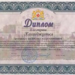 Диплом II степени на Международном конкурсе на лучшую научную работу курсантов, студентов и слушателей в сфере безопасности жизнедеятельности
