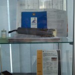 Специализированная выставка и республиканский семинар «Перспективные направления использования новых материалов»