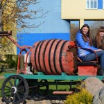 ДЕНЬ ОТКРЫТЫХ ДВЕРЕЙ