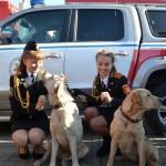 ДЕНЬ ОТКРЫТЫХ ДВЕРЕЙ