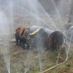 Чемпионат 1 курса по многоборью спасателей