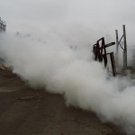 Выездные практические занятия на ОАО «Минскдрев»